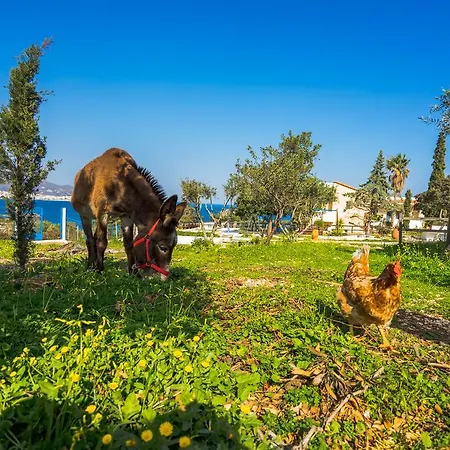 Panorama - Adults Only Appart hôtel 4*